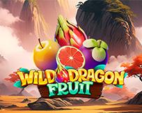 Wild Dragon Fruit
